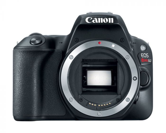 Canon EOS Rebel SL2 DSLR Camera - Body Only