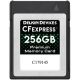 Delkin Devices CFexpress 1.0 256GB Memory Card