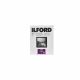 Ilford Multigrade RC Deluxe Paper - Glossy, 8 x 10" - 250 Sheets