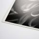 ProMaster Fine Art Baryta Natural Satin Paper 17"x50' Roll