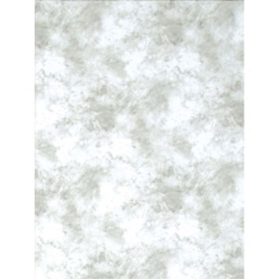 Promaster  Cloud Dyed Backdrop 10' X 12' LIGHT GRAY #9199